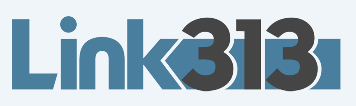 Link313 Logo